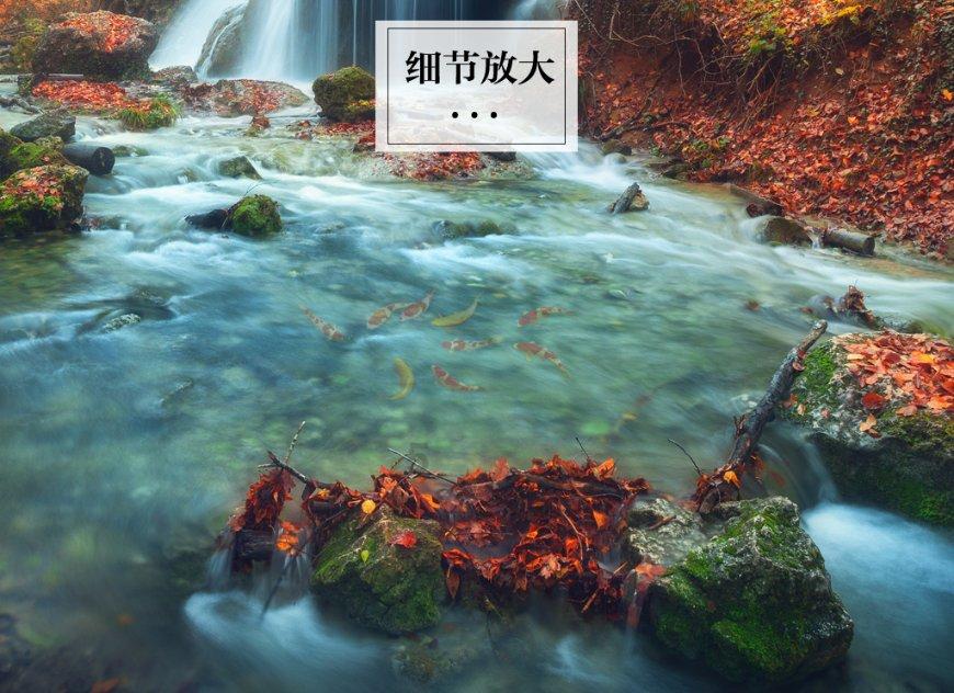 春雨直播app